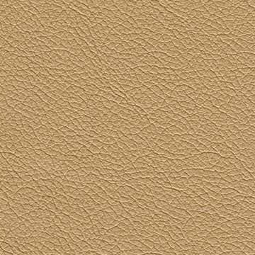 Sierra-1699 warm beige